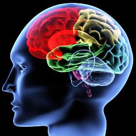 human brain evolution Bournemouth Personal Trainer My Interview With The People Whisperer