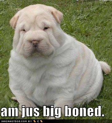 My girlfriend told me to get fat puppyfat My girlfriend told me to get fat