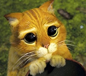 please 300x265 HUGE favour to ask...